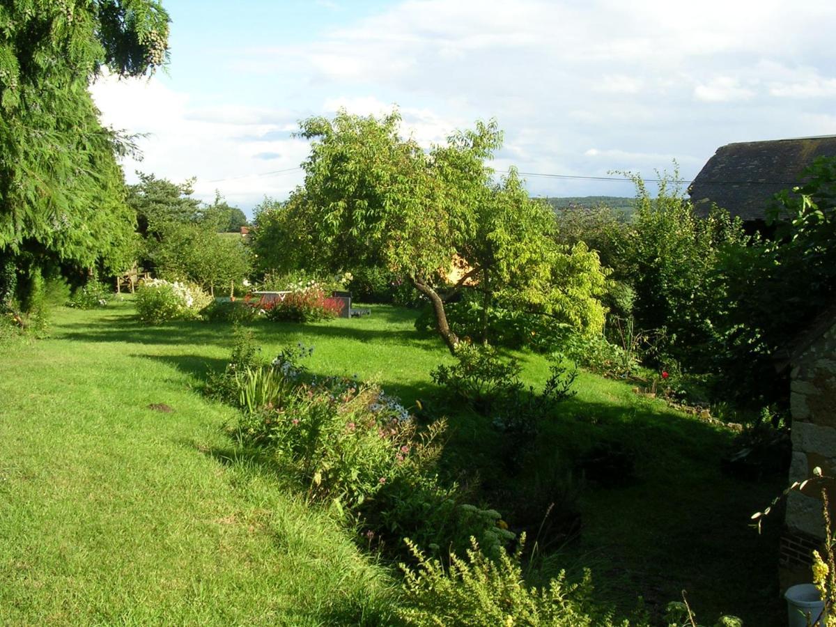 La Maison Des Aubees Remalard ภายนอก รูปภาพ